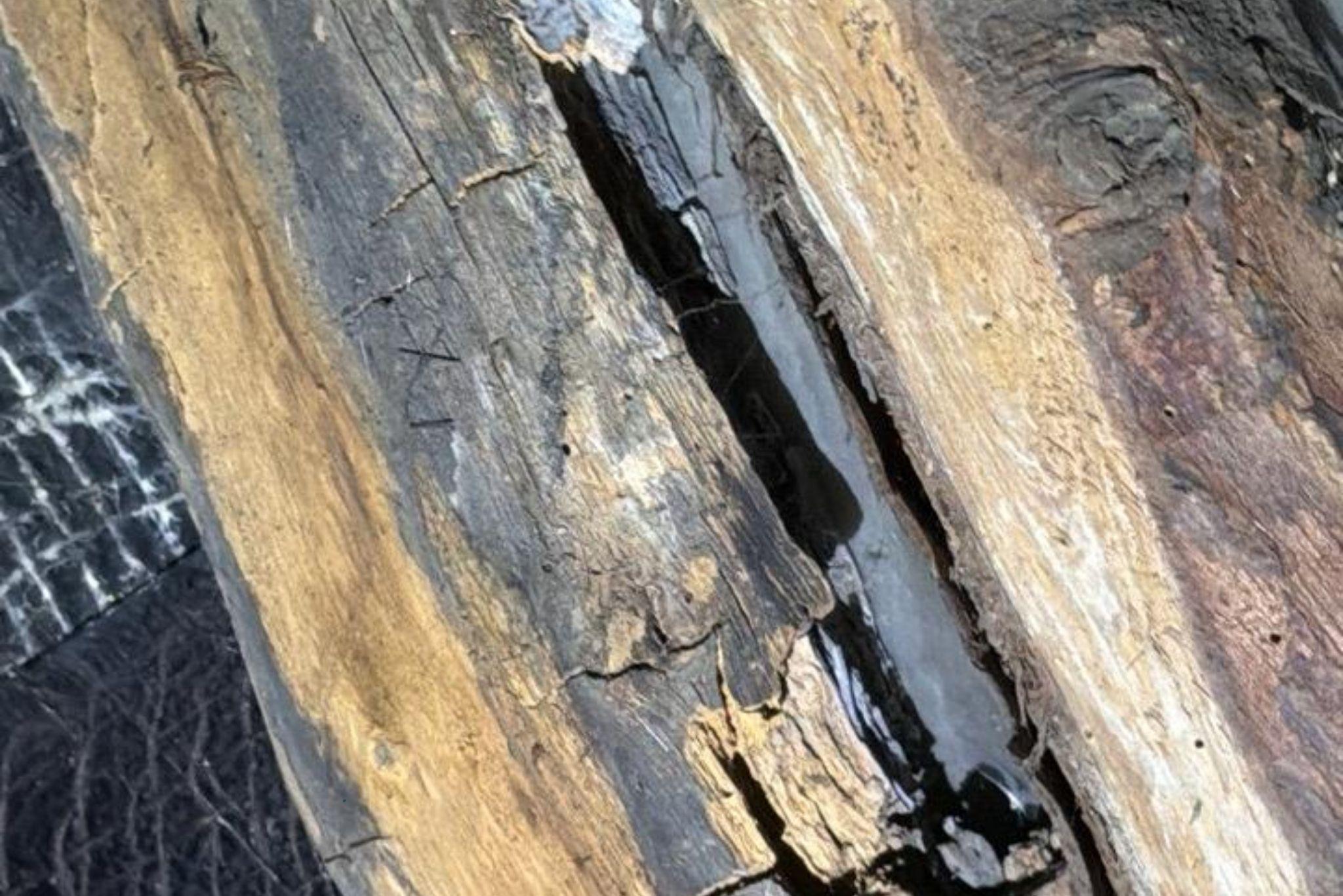 damp & timber survey Peak District